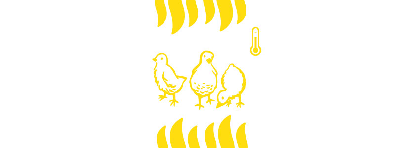 Calefacción en avicultura: SÍ, ¿pero cuál?