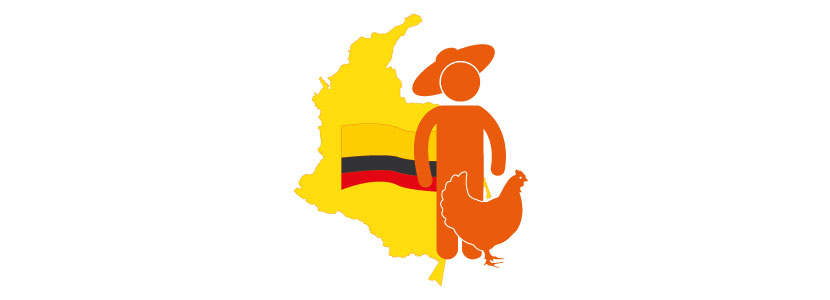 Amenazas de paro en el sector avícola de Colombia