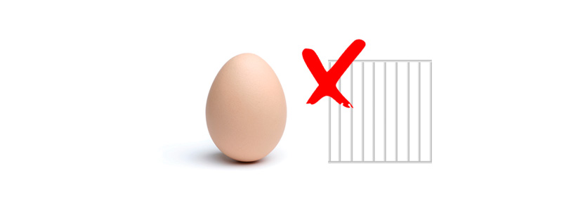 La polémica de los huevos sin jaulas