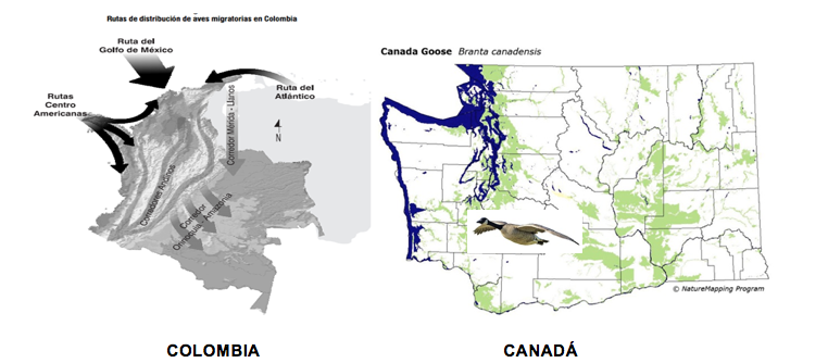 colombia-canada