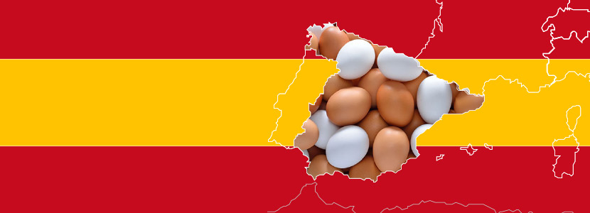 Los españoles consumen 222 huevos al año