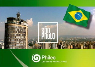 phileo-brasil