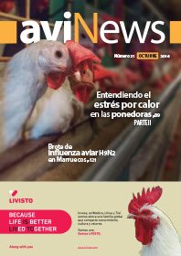 AviNews International June 2025