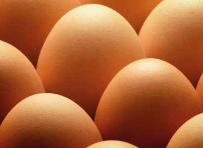 ovos contaminados segurança alimentar na produção de ovos