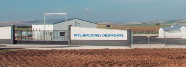 Imagen Revista DESPROAVE, un proyecto que busca el máximo confort del pollo