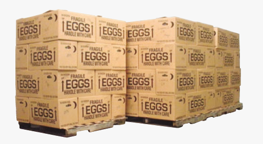 Cómo se tratan los huevos incubables en las granjas es de vital importancia