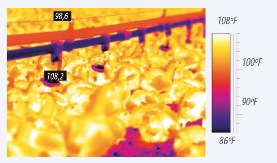 imagen térmica de una nave de pollos