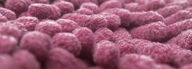 Imagen Revista Genómica de la microbiota intestinal