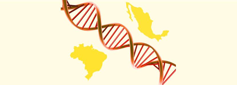 Aprobada la importación de genética avícola de Brasil a México