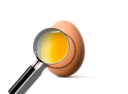 Factores que afectan a la calidad del huevo