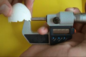 micrómetro para medir espesor cáscara