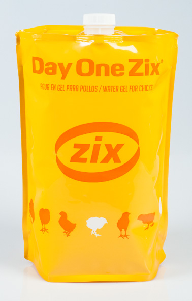 BBZIX presenta Day One Zix