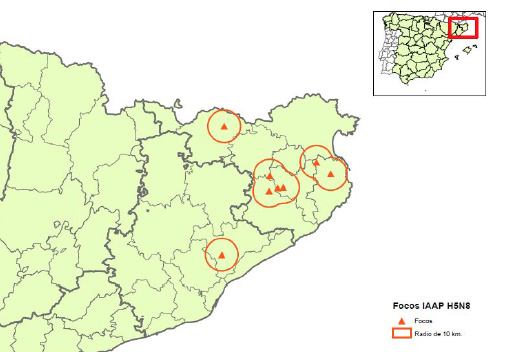 Localización de focos de gripe aviar 