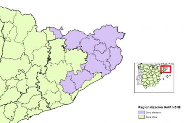 Regionalización del territorio español