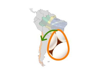 Chile autorizó la importación de huevos y sus derivados desde Brasil