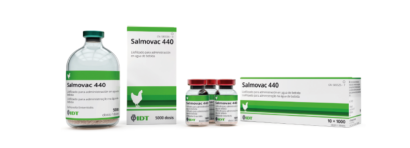 protección vacunal frente a salmonella
