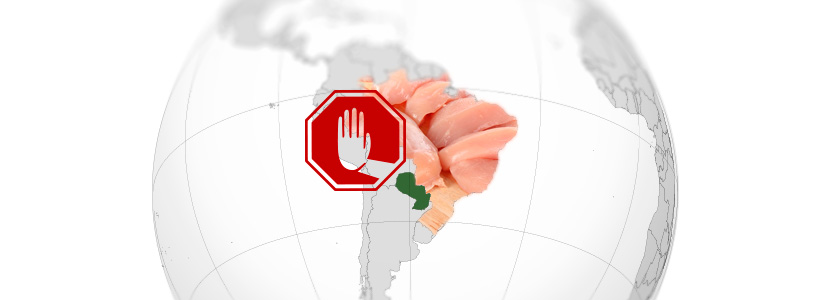 Paraguay: Alerta máxima por contrabando de productos avícolas de Brasil