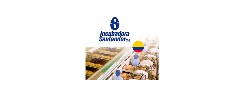 Colombia: Hito en sector de postura con Incubadora Santander