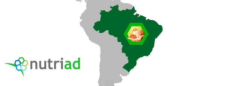 4º SITEC: Simposio técnico de Nutriad en Brasil