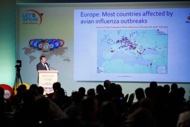 Epidemiologia Gripe Aviar