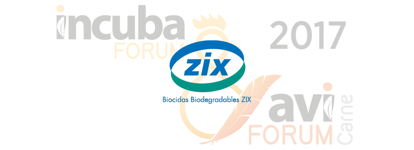 BBZIX copatrocina, un año más, el incubaFORUM & aviFORUM-CARNE 2017