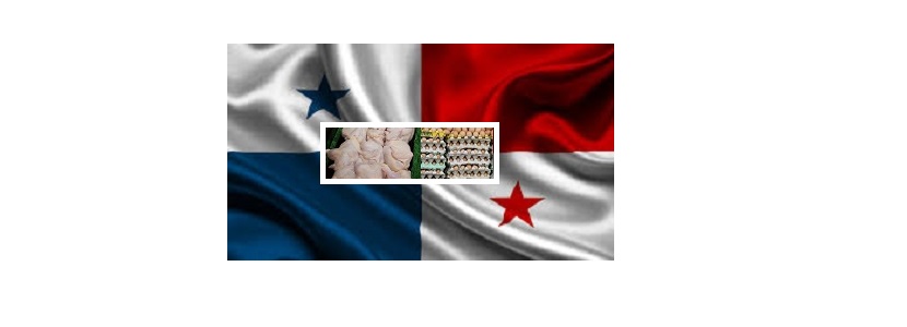 Panamá: Mirada del sector avícola