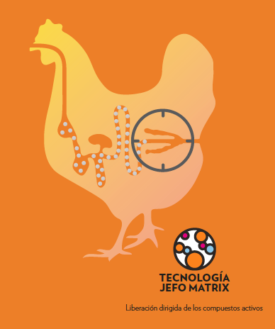 tecnología jefo matrix