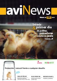 ¿Medir la velocidad del aire a la altura de las aves?