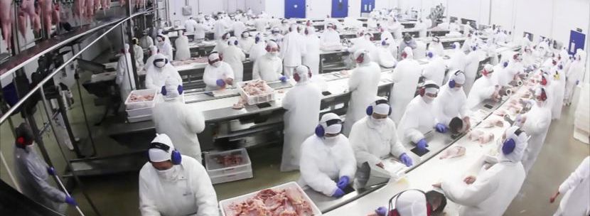saúde e segurança no trabalho nas agroindústrias exportações de carnes desoneração frigoríficos mataderos