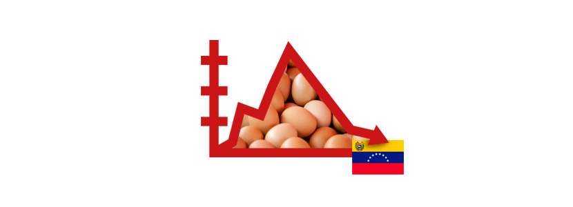 Venezuela: Consumo de huevos per cápita ha caído en 63,8%