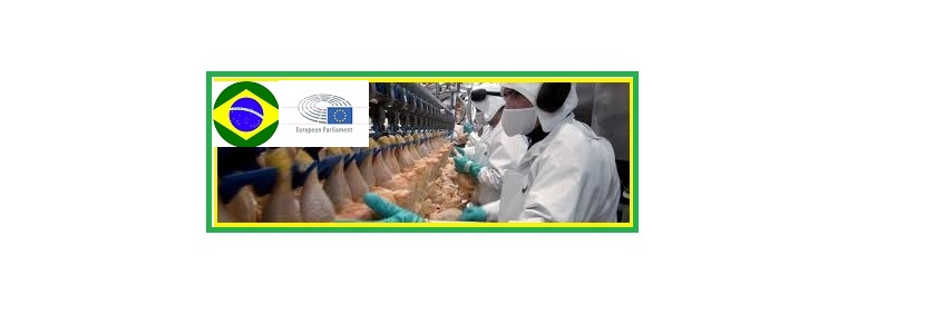 Riguroso control de la UE a importación de carne de pollo brasileña