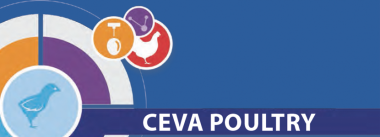 Imagen Revista Ceva Poultry Vaccinology Summit 2017 en Atenas