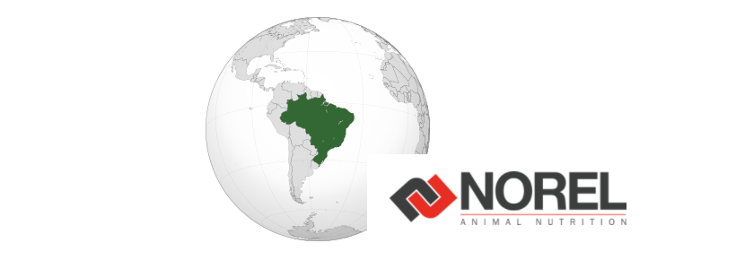 NOREL ABRE UNA NUEVA SUCURSAL EN SAO PAULO, BRASIL