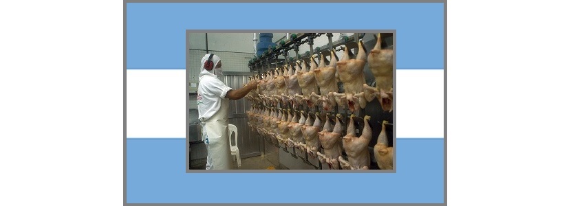 Se acentúa la situación que afecta al sector avícola argentino