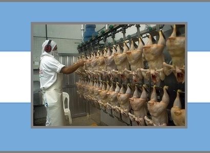 Se acentúa la situación que afecta al sector avícola argentino
