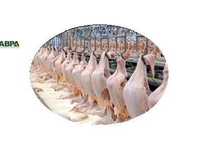 exportações de carne de frango