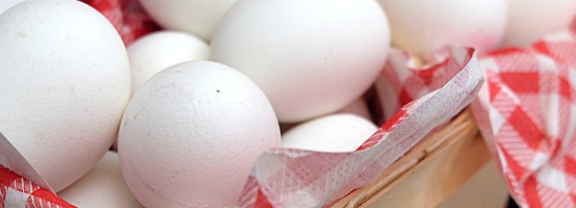 Produção de ovos em SP cresce 15,8% em 10 anos