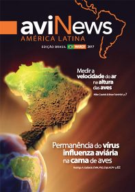 aviNews Brasil 1TRI 2025