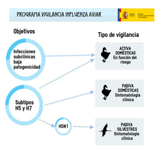 Programa de vigilancia de la gripe aviar