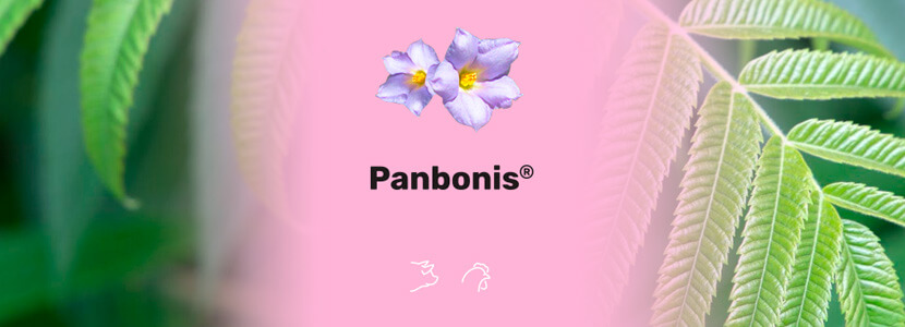 PANBONIS®, forma activa de vitamina D