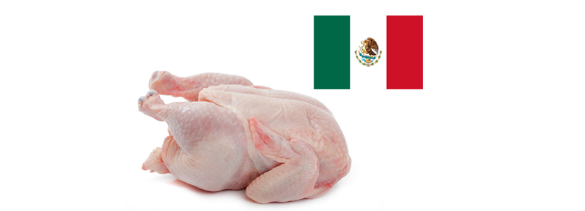 campaña promoción consumo pollo