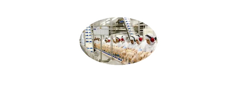 China inicia investigación antidumping a importación de pollo brasileño