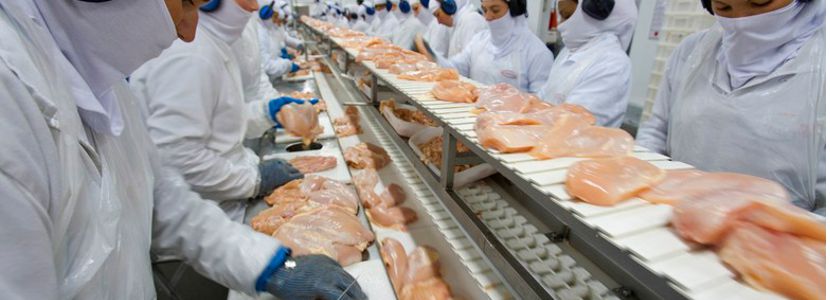 exportações de carne de frango carne de frango salgada União Europeia