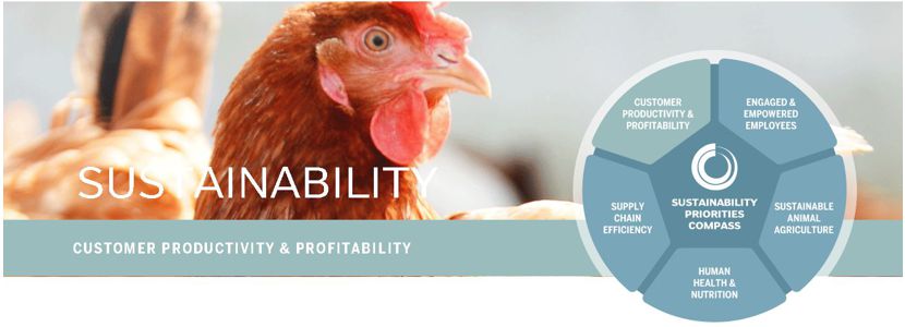 Novus apresenta medidas para produção animal sustentável