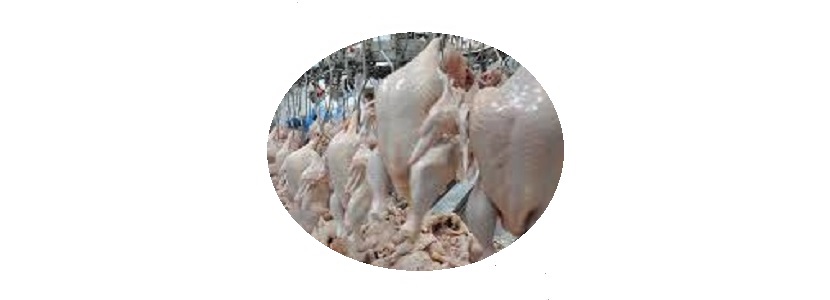 Rusia: Restricción temporal a dos empresas de carne de ave brasileña