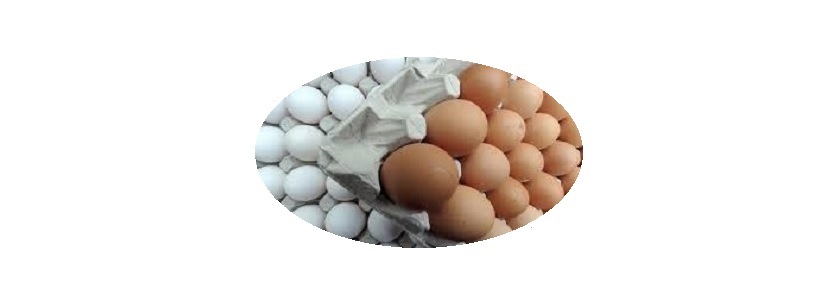 Alarma por huevos contaminados en la UE