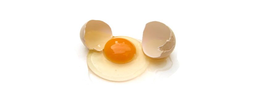 La demanda de huevos de gallinas sin jaulas está aumentando