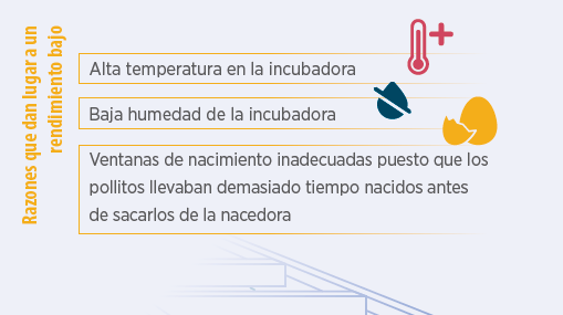 Incubator temperature
