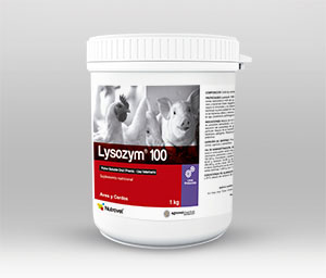 LYSOZYM® 100 Promotor de crescimento não antibiótico – Agrovet Market