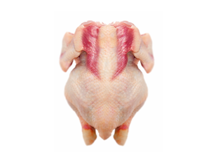 alteraciones musculares en pollos